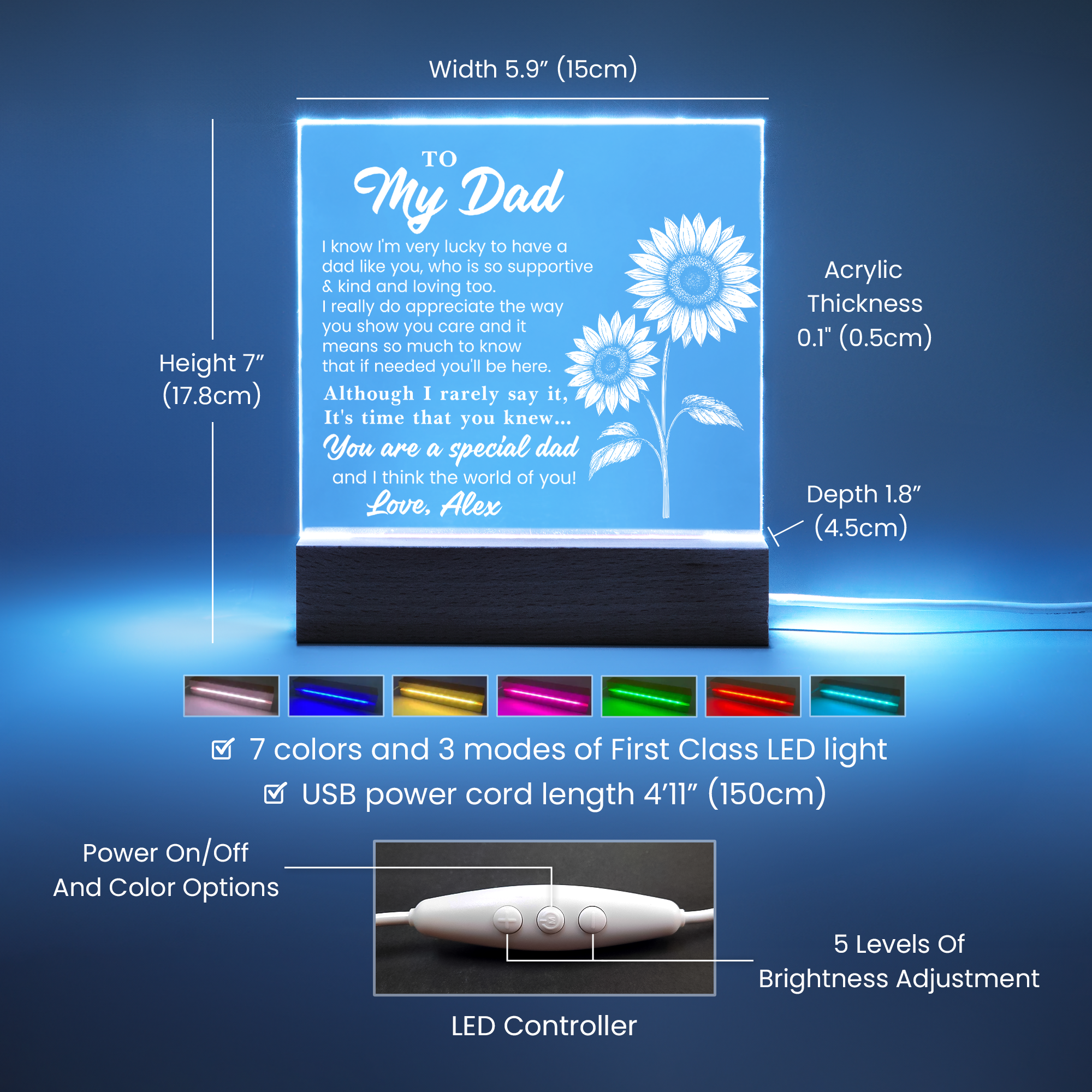Father’s Day plaque gift for dad