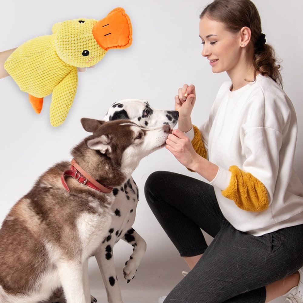 QuackMate: Calming Duck Toy