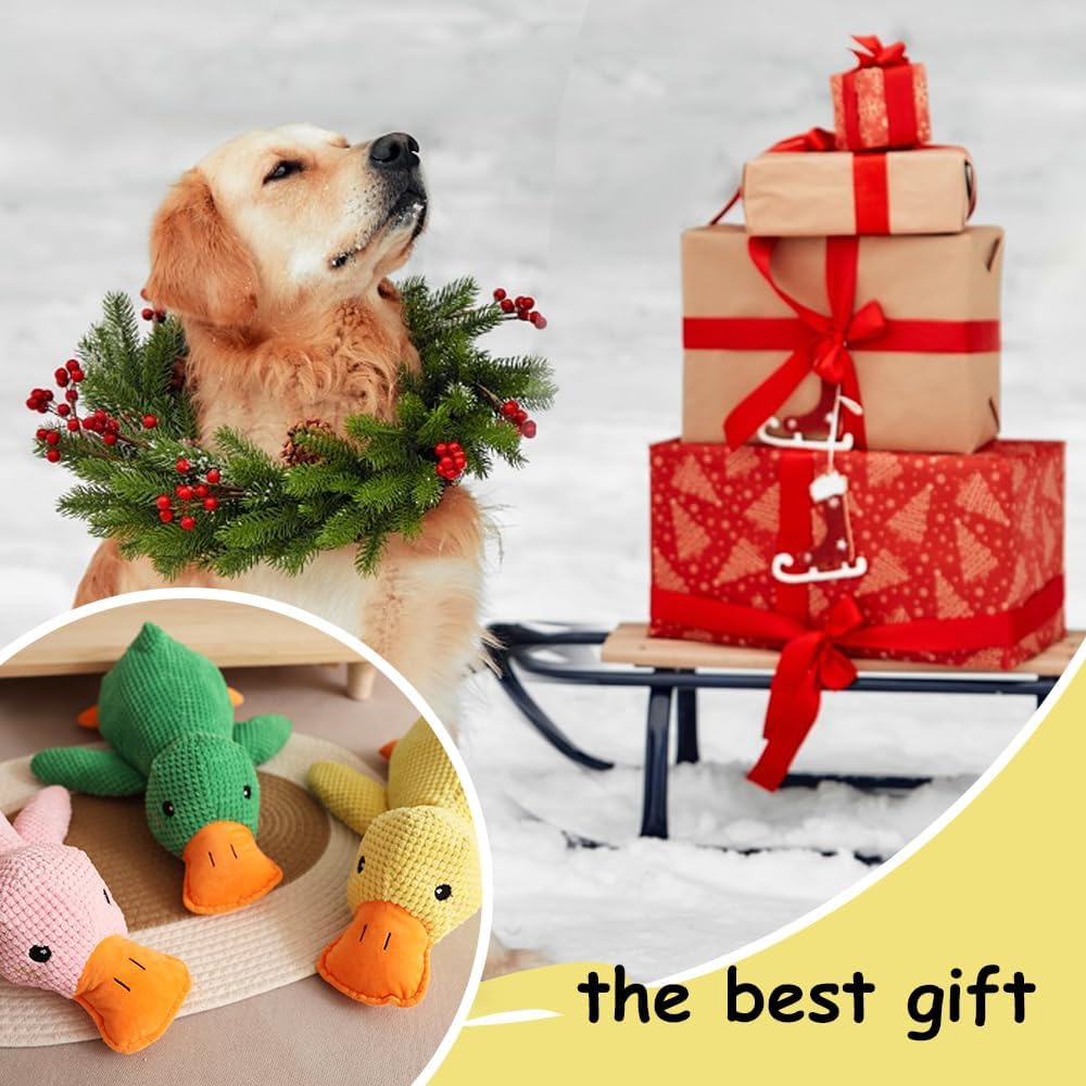 QuackMate: Calming Duck Toy