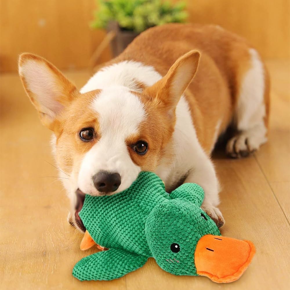 QuackMate: Calming Duck Toy