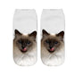 Cat Print Socks - Unique Design Socks