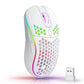 RGB Wireless Gaming Mouse - Ergonomic Honeycomb Design, 6 Buttons, 3-Speed DPI, Type C Rechargeable