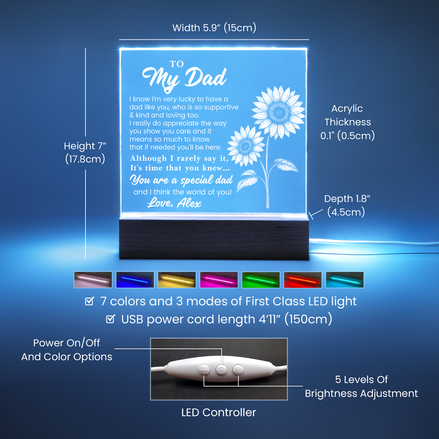 Father’s Day plaque gift for dad
