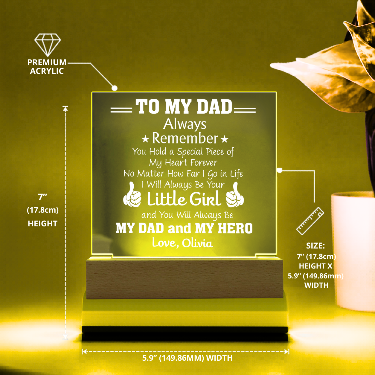 Dad LED plaque gift from daughter
