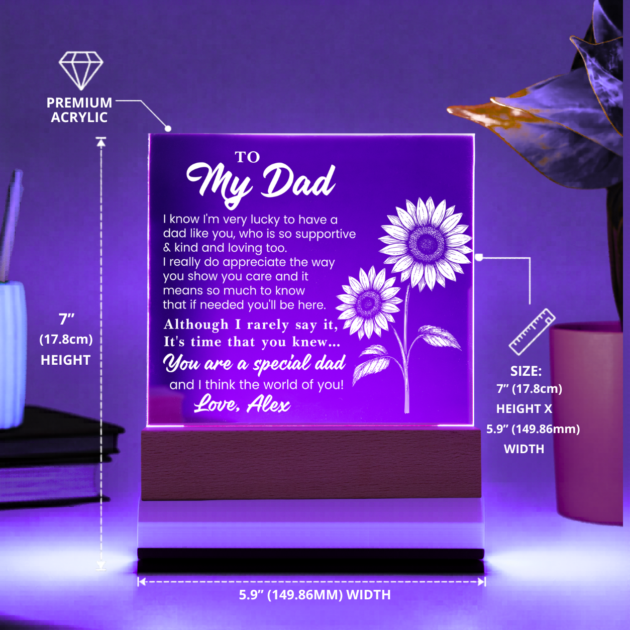 Christmas gift for dad plaque
