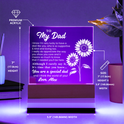 Christmas gift for dad plaque
