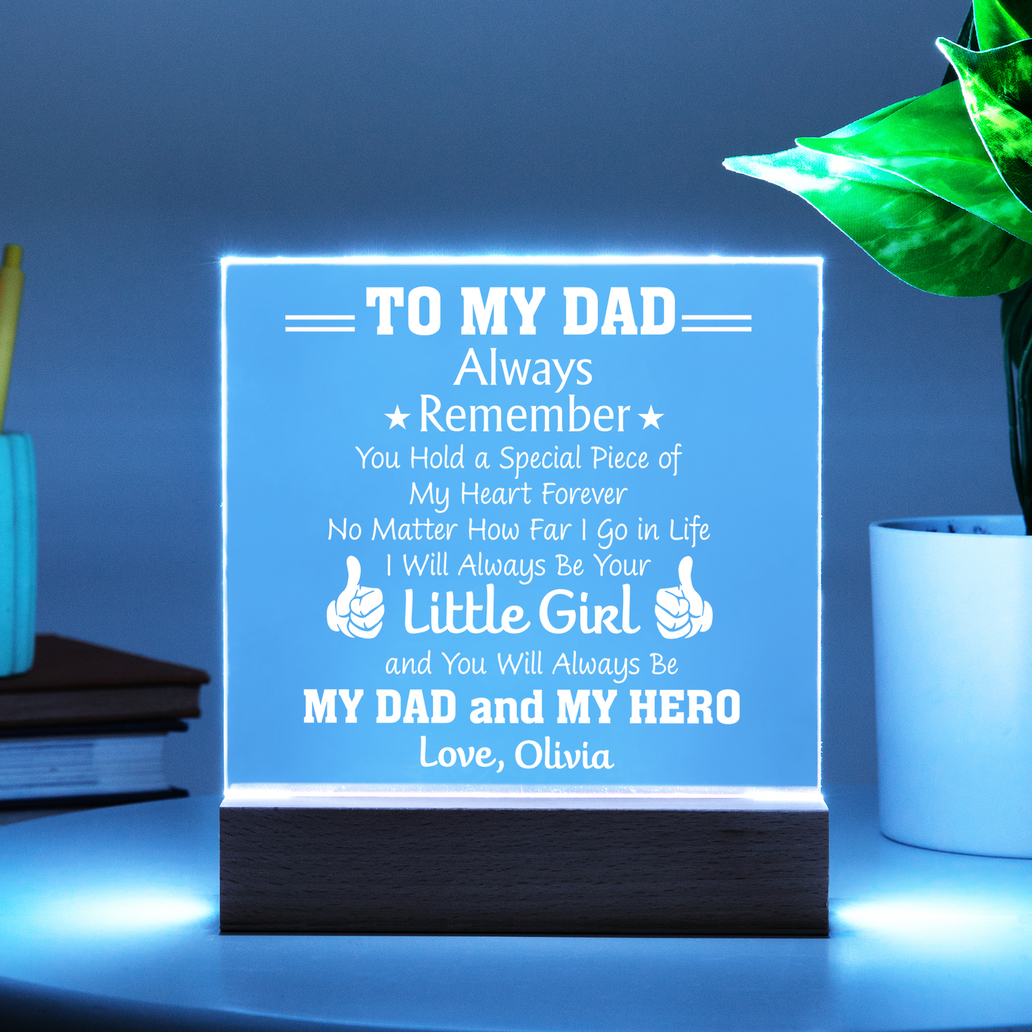 My dad and my hero keepsake light
