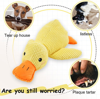 QuackMate: Calming Duck Toy