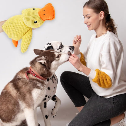 QuackMate: Calming Duck Toy