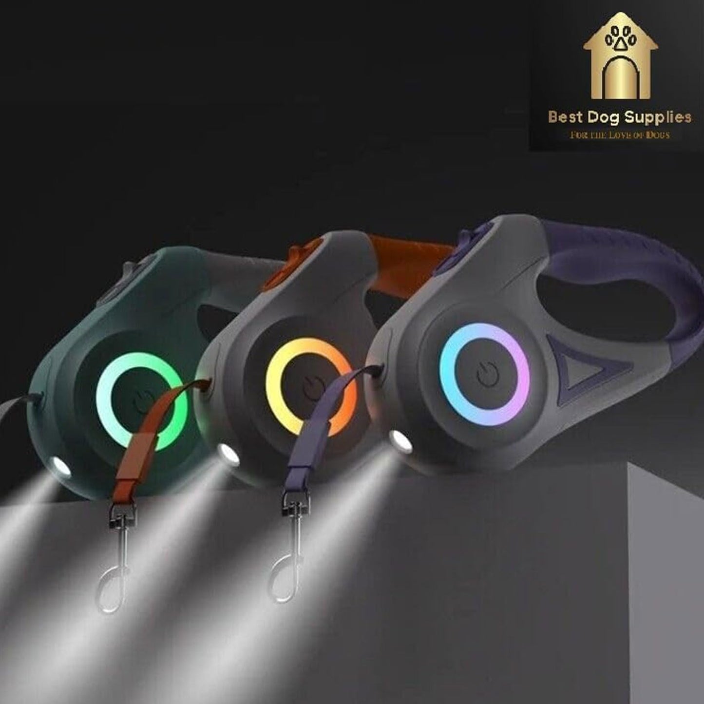 Bright Paws Retractable Leash