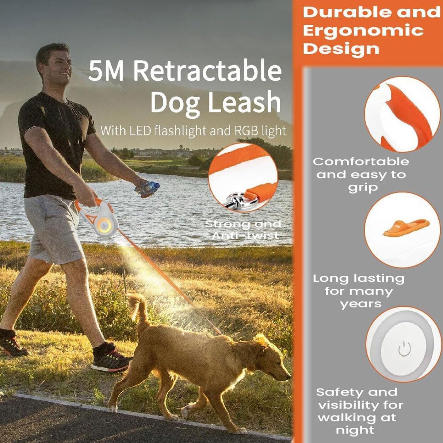 Bright Paws Retractable Leash