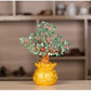 Wealth Tree, Money Tree, Prosperity Bag Tree