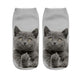 Cat Print Socks - Unique Design Socks